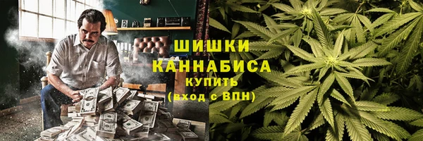 индика Бронницы